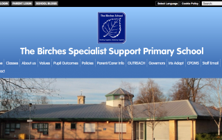 Screenshot of The Birches School website
