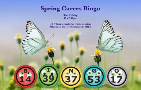 Poster for Lifted's Carers' Spring Bingo and Thursday Social 2019 | background image: 2 butterflies perched on flower shoots; foreground images: bingo balls | original images from pixabay.com