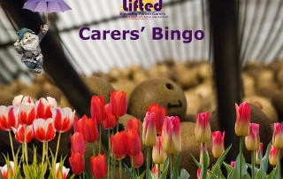 Teaser image for Lifted Carers' Spring Bingo 2018 | original images from pixabay.com